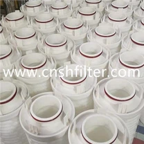 پاور پلانٹ واٹر فلٹر عنصر SGLQ-1000A